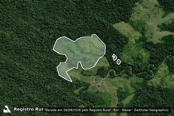 Imagem de satélite de Infração Ambiental em Feijó - AC