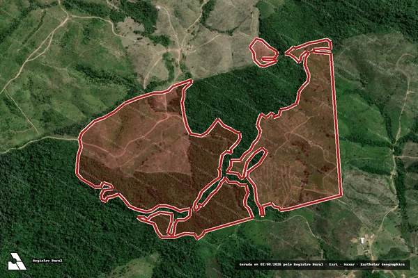 Imagem de satélite de Infração da Flora em Bom Jesus do Tocantins - PA