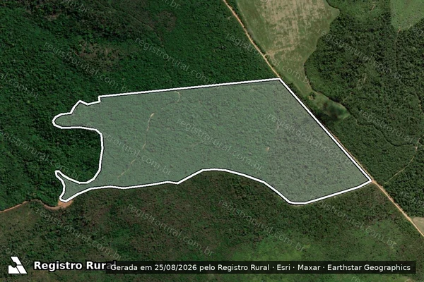 Imagem de satélite de Infração da Flora em Dom Eliseu - PA