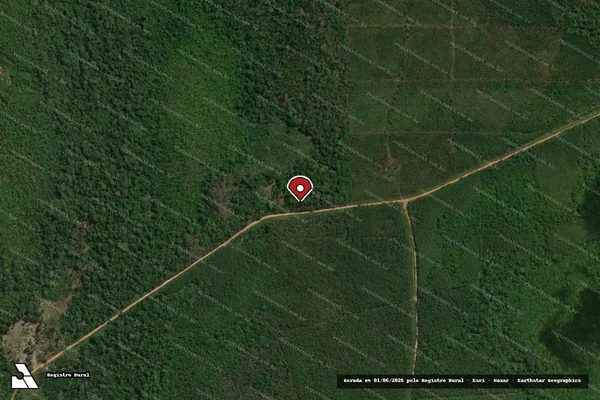 Imagem de satélite de Infração Ambiental em Laranjal do Jari - AP (marcador da localização)