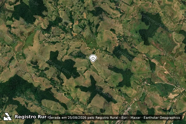 Imagem de satélite de Infração da Fauna em Muriaé - MG (marcador da localização)
