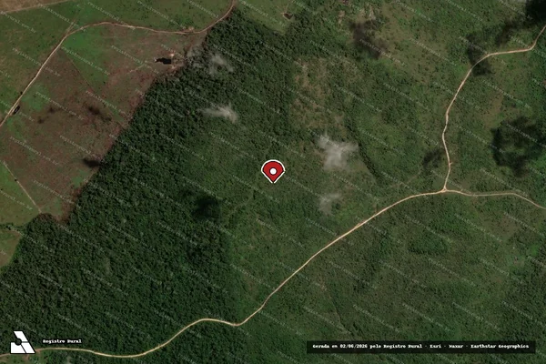 Imagem de satélite de Infração Ambiental em Centro Novo do Maranhão - MA (marcador da localização)