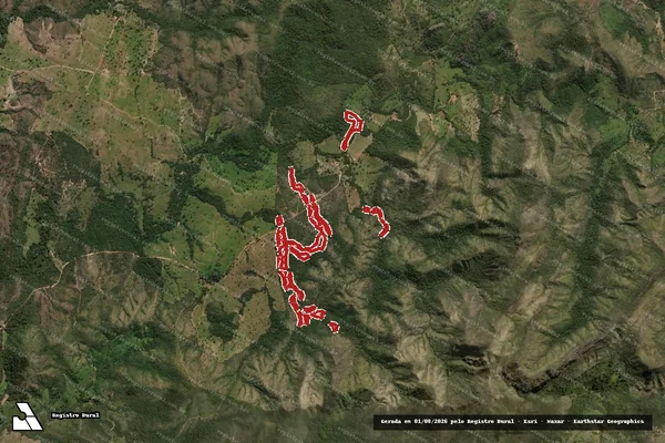 Imagem de satélite de Infração da Flora em Niquelândia - GO