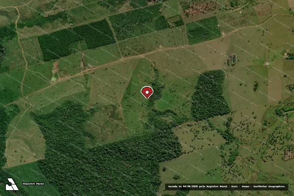 Imagem de satélite — Embargo Ambiental — Manaus/AM