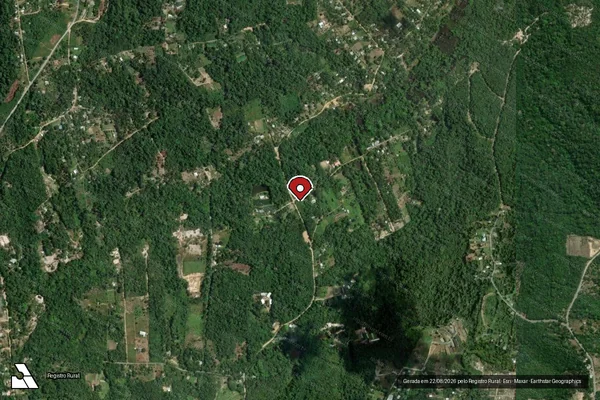 Imagem de satélite de Infração Ambiental em Manaus - AM (marcador da localização)