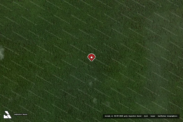 Imagem de satélite de Infração da Flora em Vila Rica - MT (marcador da localização)