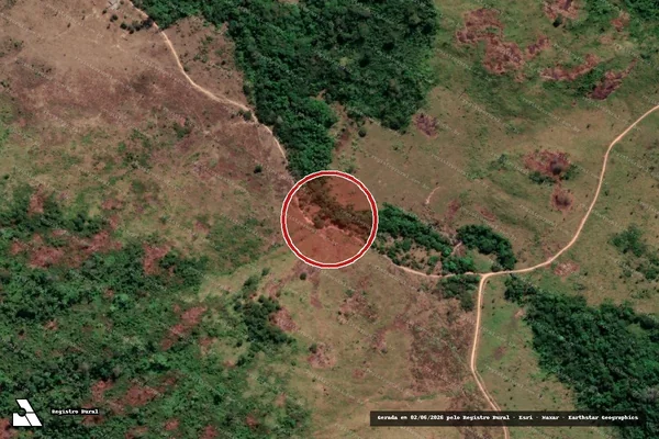Imagem de satélite de Infração Ambiental em Novo Progresso - PA