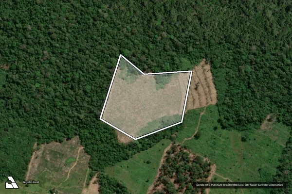 Imagem de satélite de Infração da Flora em Rorainópolis - RR