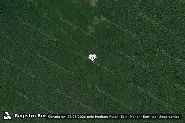 Imagem de satélite de Infração da Flora em Humaitá - AM (marcador da localização)