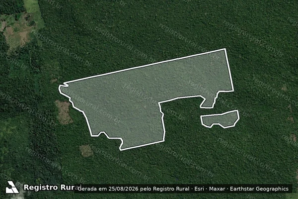 Imagem de satélite — Embargo IBAMA — Infração da Flora - Rurópolis/PA