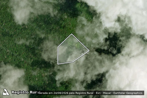 Imagem de satélite de Desmatamento em Porto de Moz - PA