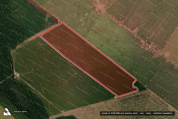Imagem de satélite de Infração da Flora em União do Sul - MT