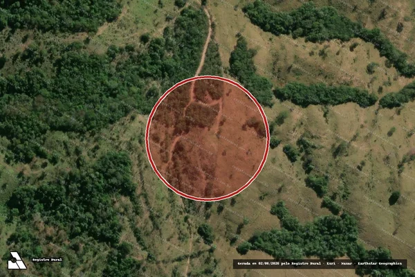 Imagem de satélite de Desmatamento em Davinópolis - GO