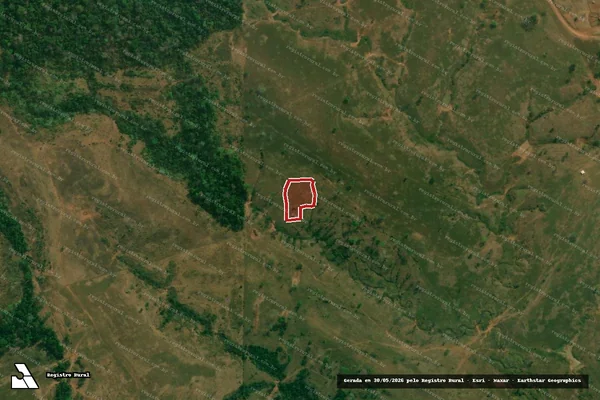 Imagem de satélite — Embargo IBAMA — Infração Ambiental - Alta Floresta D'Oeste/RO