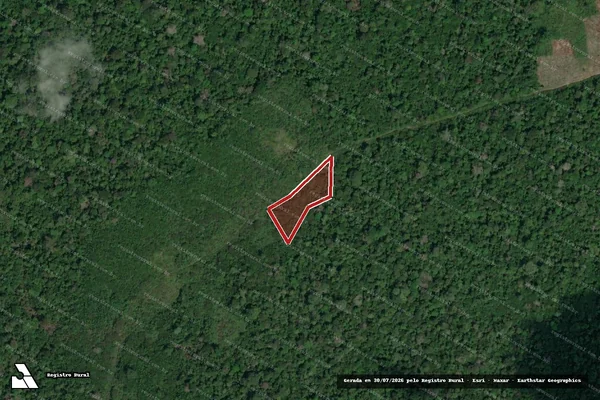 Imagem de satélite de Infração da Flora em Parintins - AM