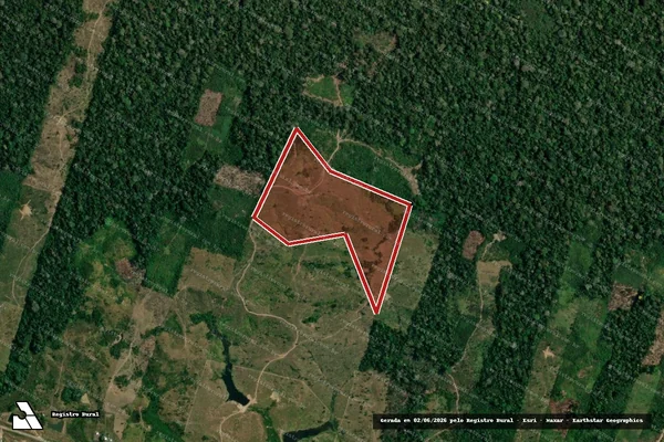 Imagem de satélite de Infração da Flora em Feijó - AC