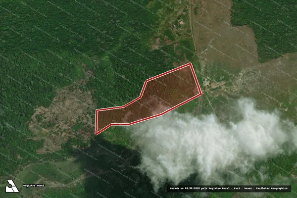 Imagem de satélite — Embargo IBAMA — Infração da Flora - Autazes/AM