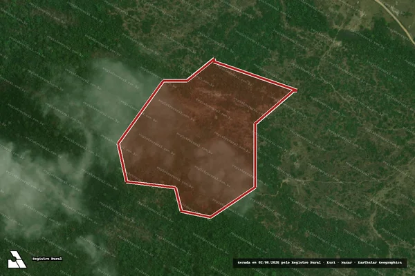 Imagem de satélite — Embargo IBAMA — Infração da Flora — Novo Repartimento/PA