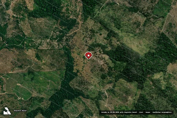 Imagem de satélite de Infração Ambiental em Cotriguaçu - MT (marcador da localização)
