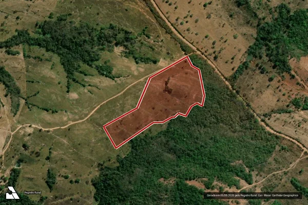 Imagem de satélite de Infração da Flora em Niquelândia - GO
