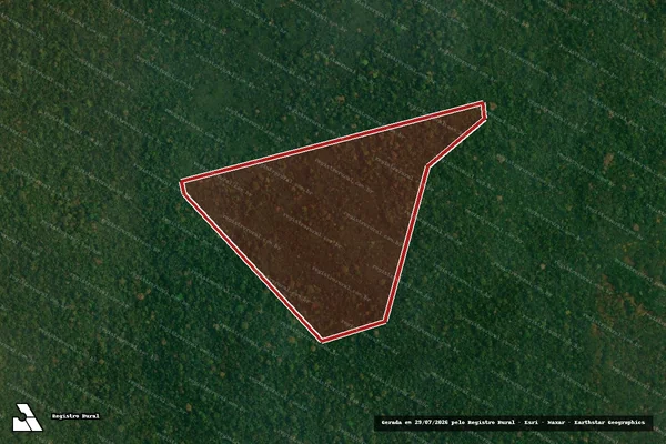 Imagem de satélite de Infração da Fauna em Novo Progresso - PA