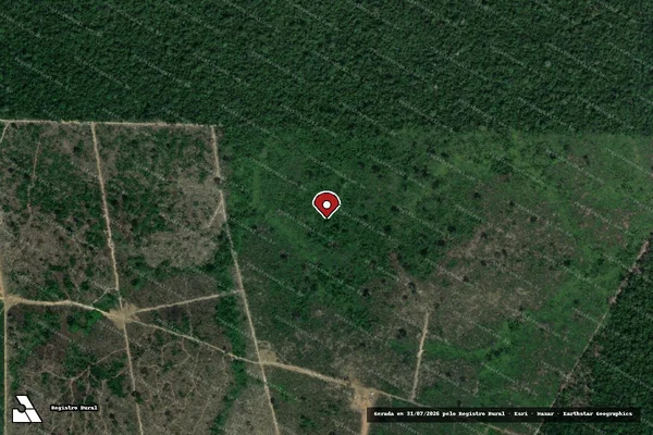 Imagem de satélite de Infração da Flora em Novo Progresso - PA (marcador da localização)