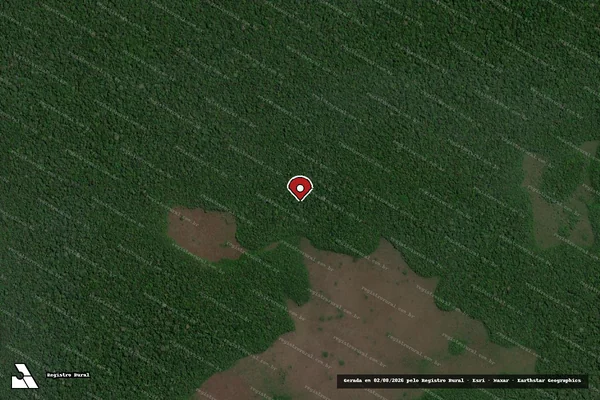 Imagem de satélite de Infração Ambiental em Porto Velho - RO (marcador da localização)