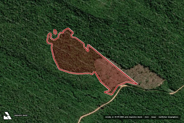 Imagem de satélite de Infração da Flora em Itaituba - PA