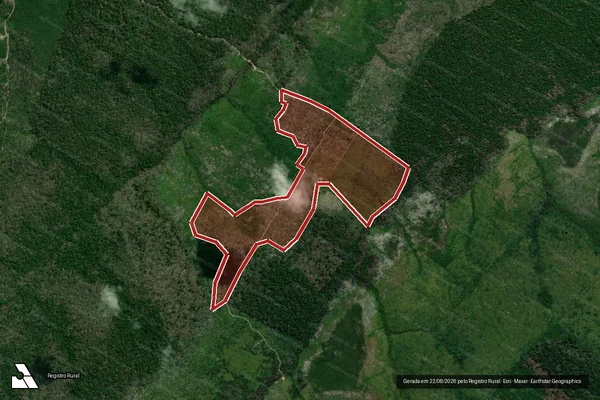 Imagem de satélite — Embargo Ambiental - Apuí/AM