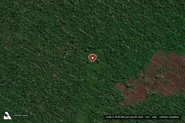 Imagem de satélite — Embargo IBAMA — Infração da Flora - Manicoré/AM