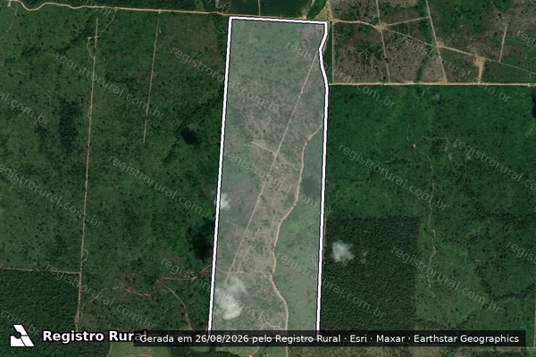 Imagem de satélite de Infração da Flora em Novo Progresso - PA