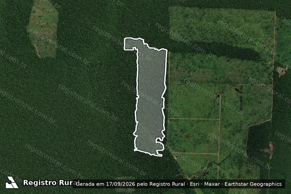 Imagem de satélite — Embargo IBAMA — Infração Ambiental - Canutama/AM