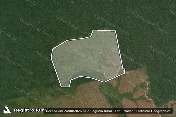Imagem de satélite de Desmatamento em Novo Progresso - PA
