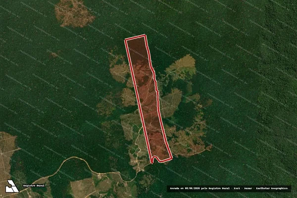 Imagem de satélite de Infração da Flora em Trairão - PA