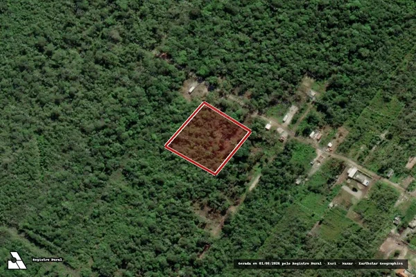 Imagem de satélite de Infração da Flora em Pontal do Paraná - PR