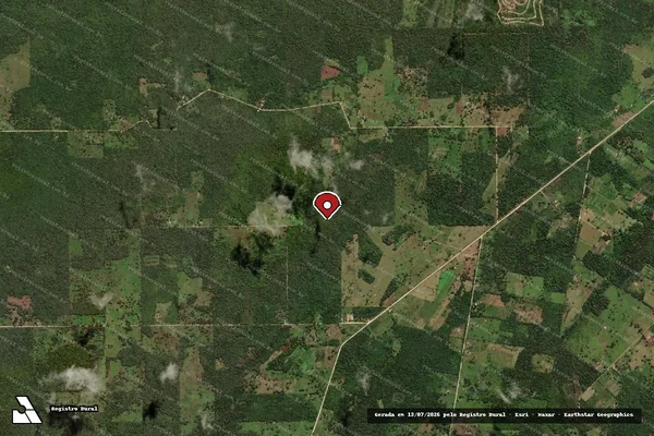 Imagem de satélite de Infração da Flora em Corumbá - MS (marcador da localização)