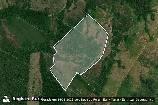 Imagem de satélite de Infração da Flora em Apuí - AM