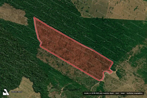 Imagem de satélite de Infração da Flora em Machadinho D'Oeste - RO