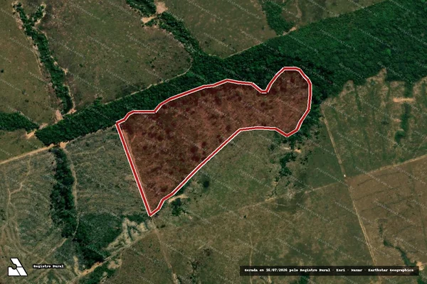 Imagem de satélite — Embargo IBAMA — Infração da Flora - Machadinho D'Oeste/RO