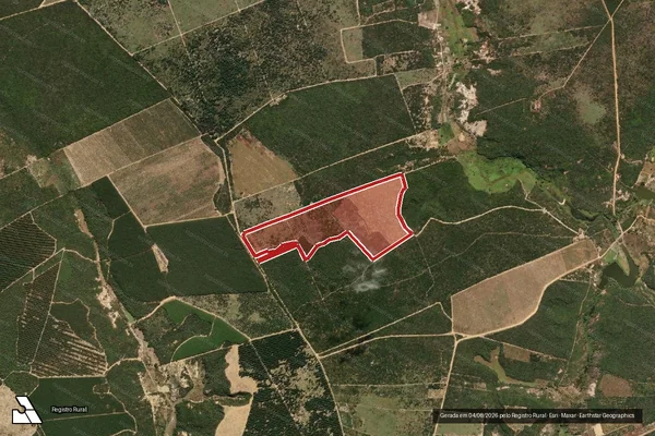 Imagem de satélite — Embargo Ambiental — Ninheira/MG