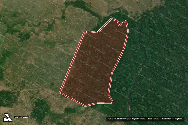 Imagem de satélite de Infração Ambiental em Novo Repartimento - PA