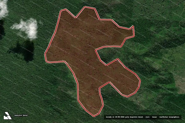 Imagem de satélite — Embargo IBAMA — Infração da Flora — São Félix do Xingu/PA