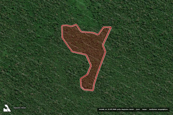 Imagem de satélite de Infração Ambiental em São João da Baliza - RR