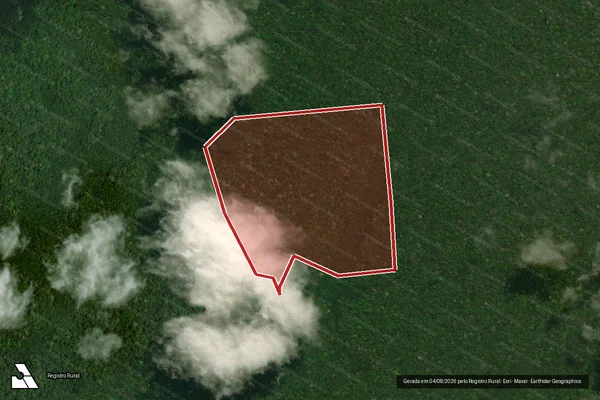 Imagem de satélite — Embargo IBAMA — Infração da Flora — Melgaço/PA