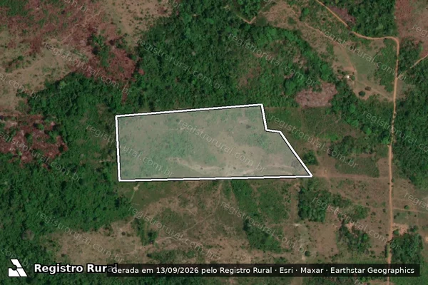 Imagem de satélite de Infração da Flora em São Félix do Xingu - PA