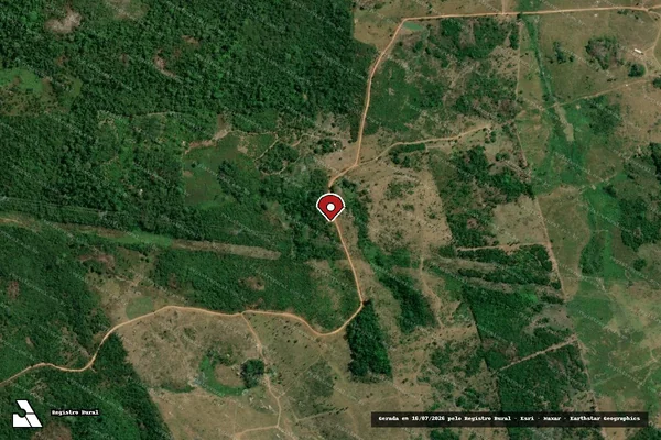 Imagem de satélite de Infração da Flora em Pacajá - PA (marcador da localização)