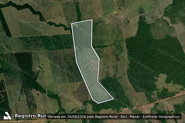Imagem de satélite de Infração da Flora em Manicoré - AM