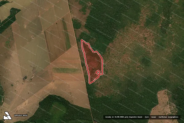 Imagem de satélite — Embargo IBAMA — Infração Ambiental - Brasnorte/MT