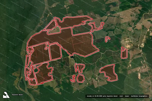 Imagem de satélite de Infração da Flora em Novo Progresso - PA