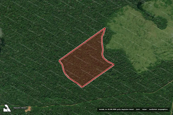 Imagem de satélite de Infração Ambiental em Senador José Porfírio - PA